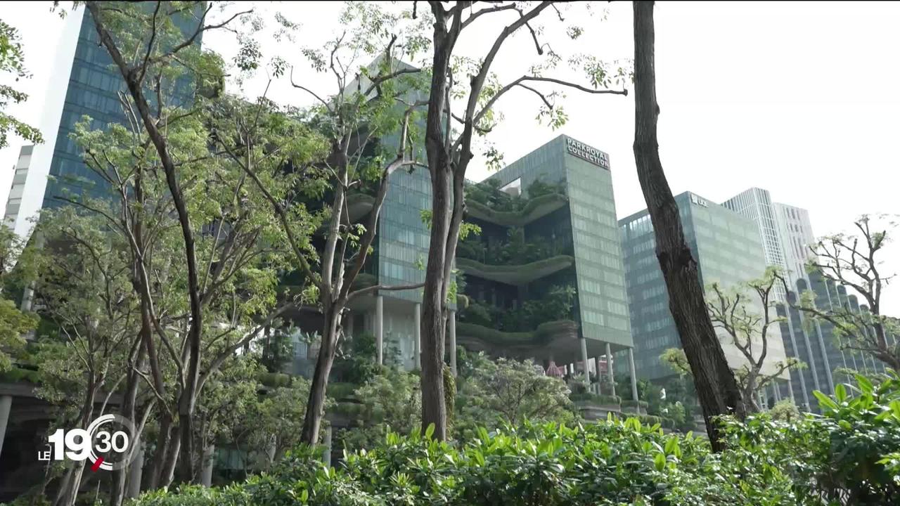 La Cité-État de Singapour se positionne comme modèle dans la lutte contre le dérèglement climatique
