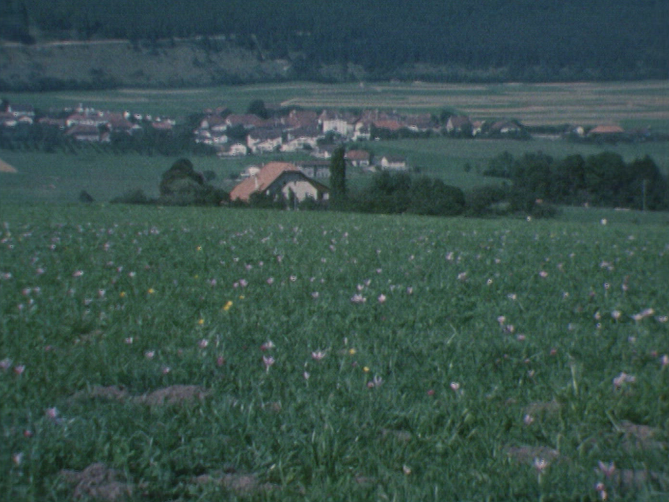 Le Plateau de Diesse