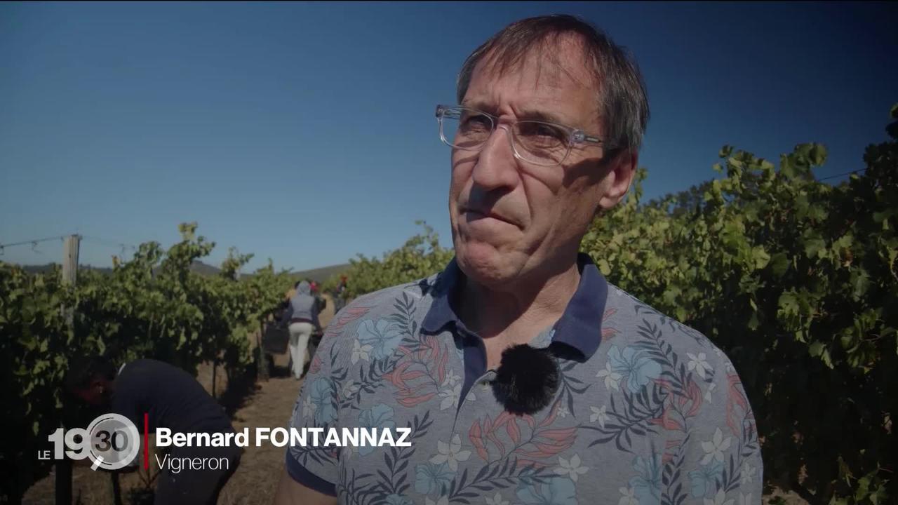 Le Valaisan Bernard Fontannaz produit des dizaines de millions de litres de vin en Afrique du Sud