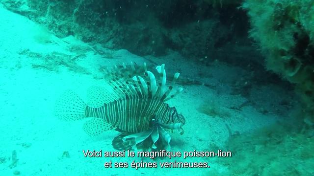 La mer Méditerrannée face au changement climatique