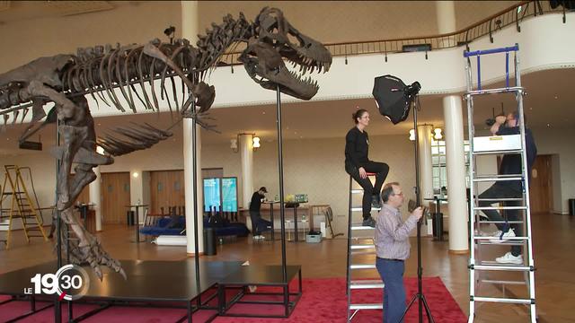 Un gigantesque squelette de tyrannosaure américain est arrivé à Zurich pour une vente aux enchères pas comme les autres.
