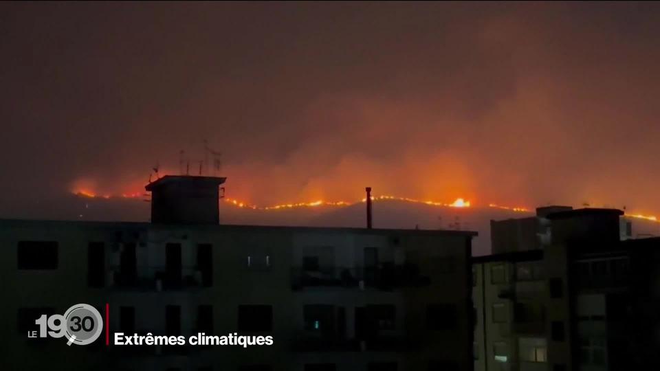 Le mois de juillet est le plus chaud jamais enregistré dans l'histoire. Ces phénomènes climatiques extrêmes inquiètent