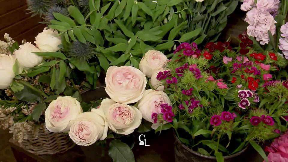 À Genève, une association récupère des fleurs pour soulager la tristesse de celles et ceux qui souffrent dans les hôpitaux ou les EMS