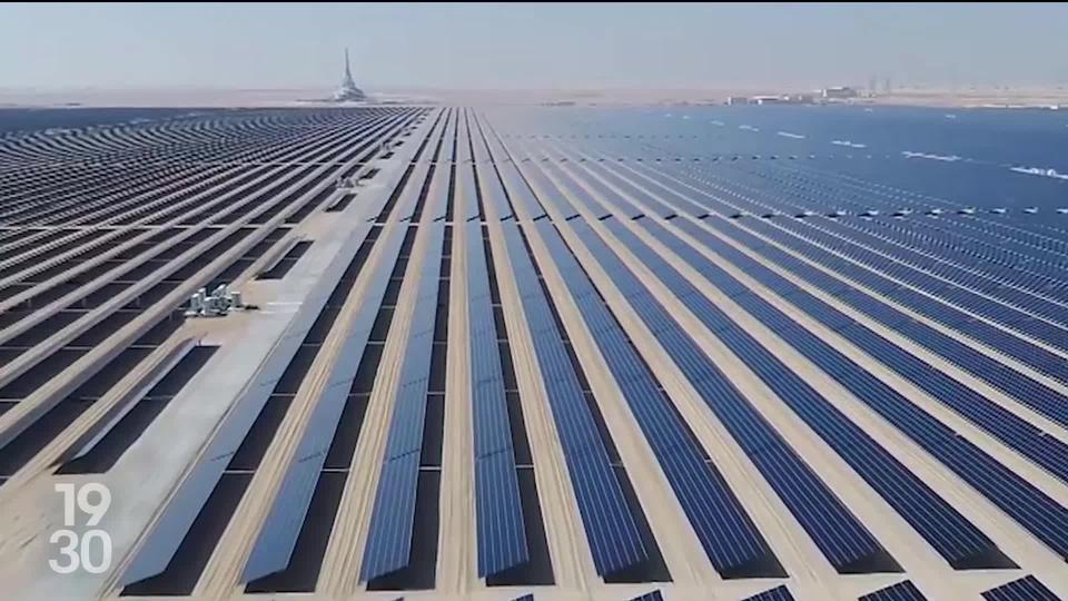 Les Émirats arabes unis cultivent le paradoxe de l’attachement aux énergies fossiles tout en investissant massivement dans l'industrie photovoltaïque