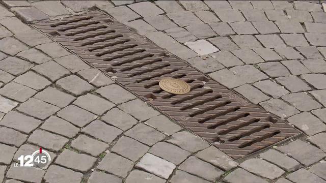 Lausanne mène une campagne de sensibilisation visant à éviter les déchets dans les grilles d’eaux claires de la ville