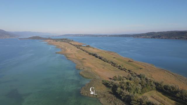 L'Île Saint-Pierre et Rousseau