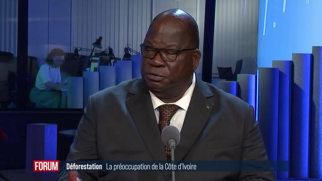 La déforestation, sujet de préoccupation en Côte d’Ivoire: interview de Laurent Tchagba