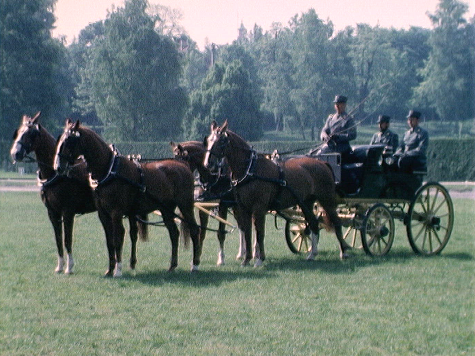 Attelage à 4 chevaux [RTS]