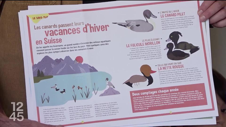 Ludique et informatif, le nouveau magazine "Terre & Nature Junior" vise à sensibiliser le jeune public au terroir et à l’environnement