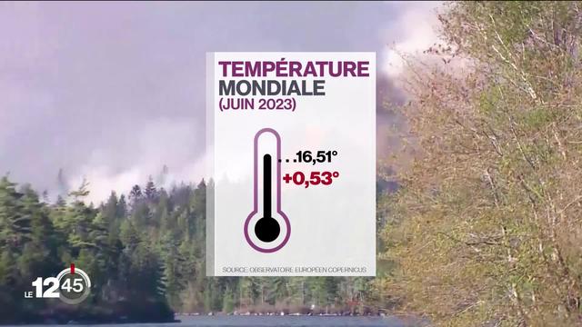 Le monde a connu son mois de juin le plus chaud jamais enregistré. Les records de chaleur s'enchaînent depuis avril.