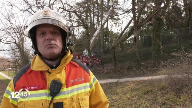 Avec la forte bise du week-end, les pompiers ont effectué plus de 500 interventions à Genève et dans le canton de Vaud