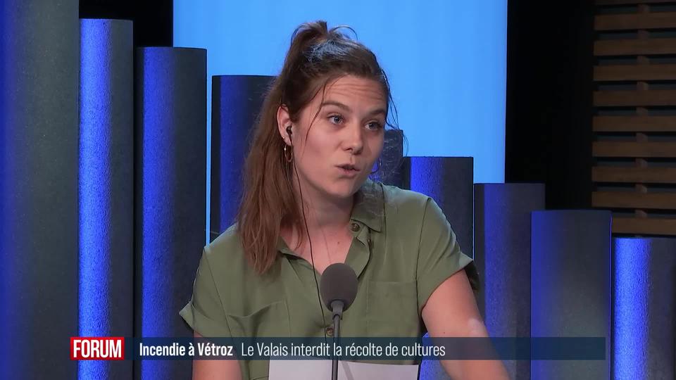 En raison de l'incendie à Vétroz (VS), la récolte de fruits et légumes est interdite