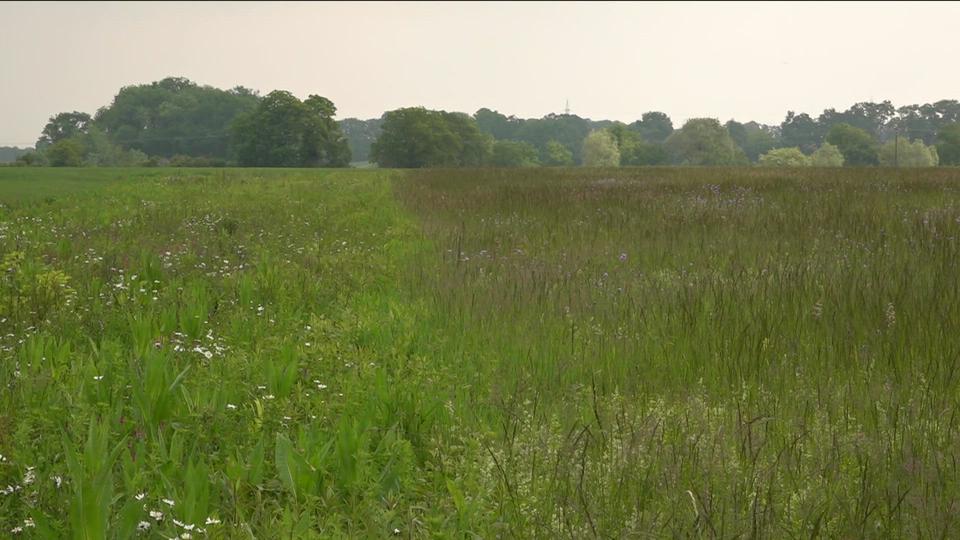 Une expérience en faveur de la biodiversité