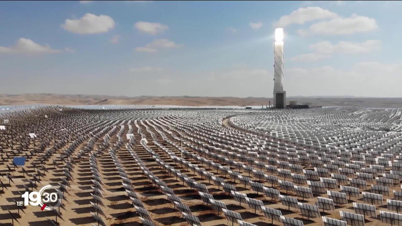Au sud d'Israël, le désert Néguev est un laboratoire innovant du réchauffement climatique