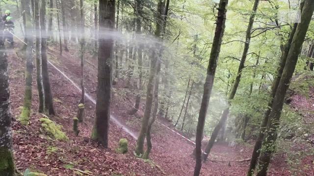 15M Les incendies de forêt