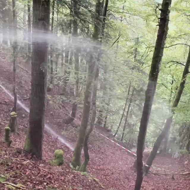 15M Les incendies de forêt