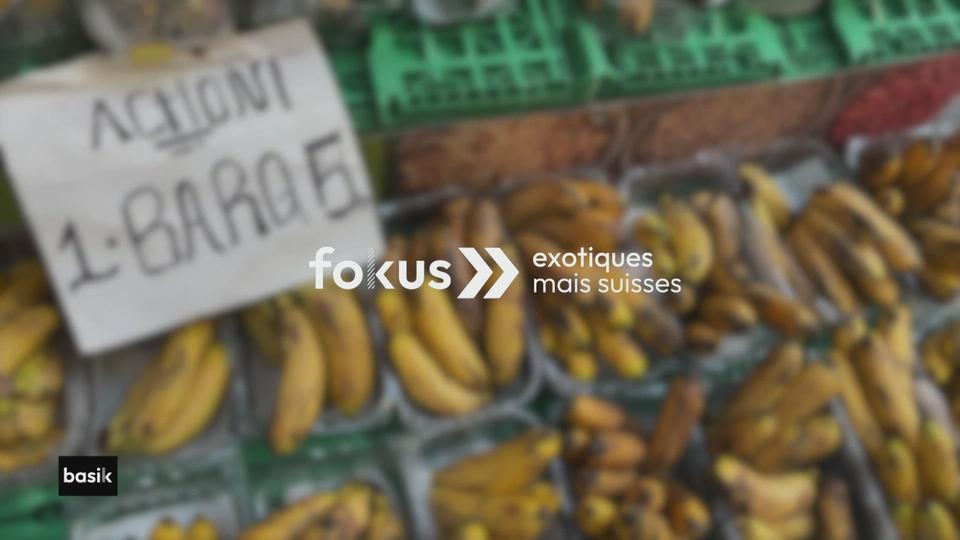 fokus : exotiques mais suisses