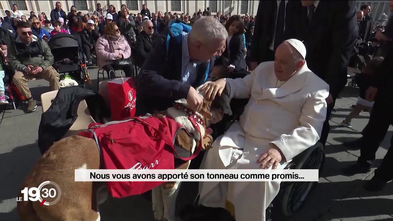 Après une semaine de marche, le Saint Bernard Magnum et son maitre sont arrivés au bout de leur périple et ont été reçus par le pape François