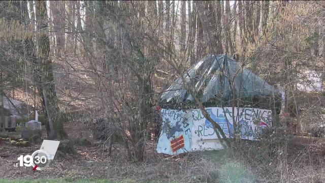 Des zadistes campent dans une forêt de Vufflens. Ils craignent qu'elle soit exploitée pour y extraire du gravier.