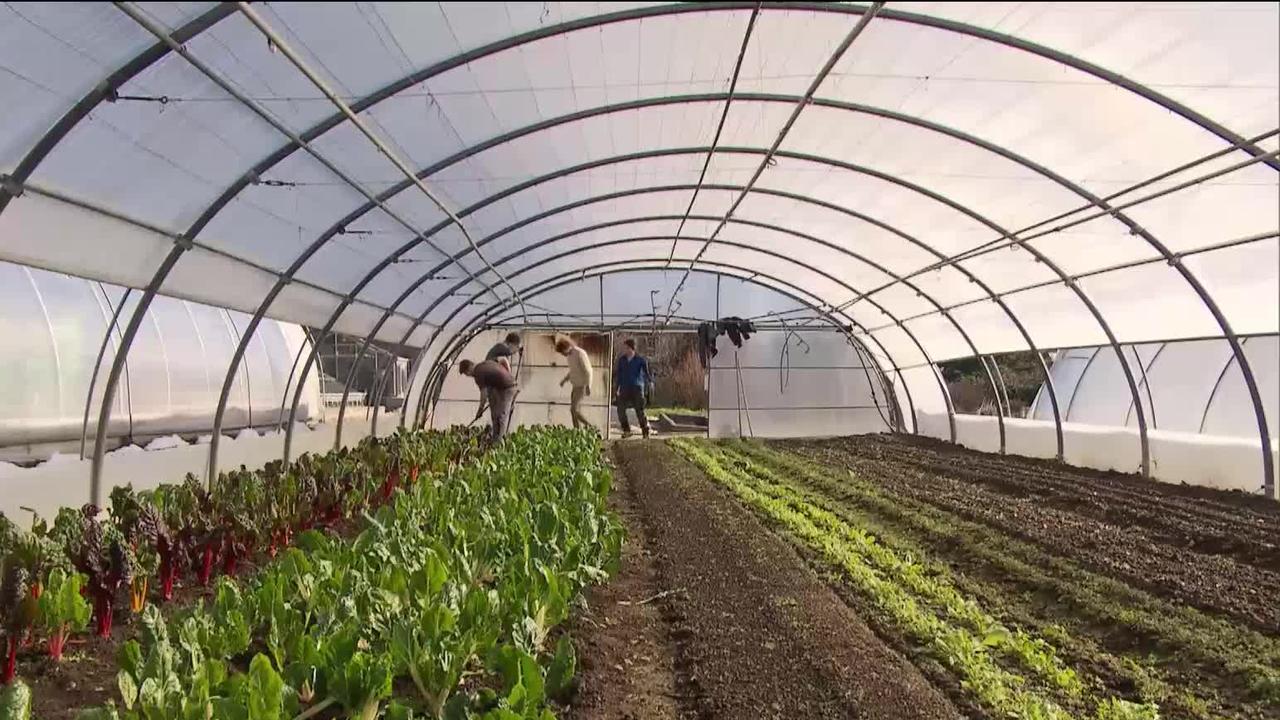 Le canton de Vaud veut renforcer son soutien à l’agriculture biologique en doublant ses subventions aux agriculteurs