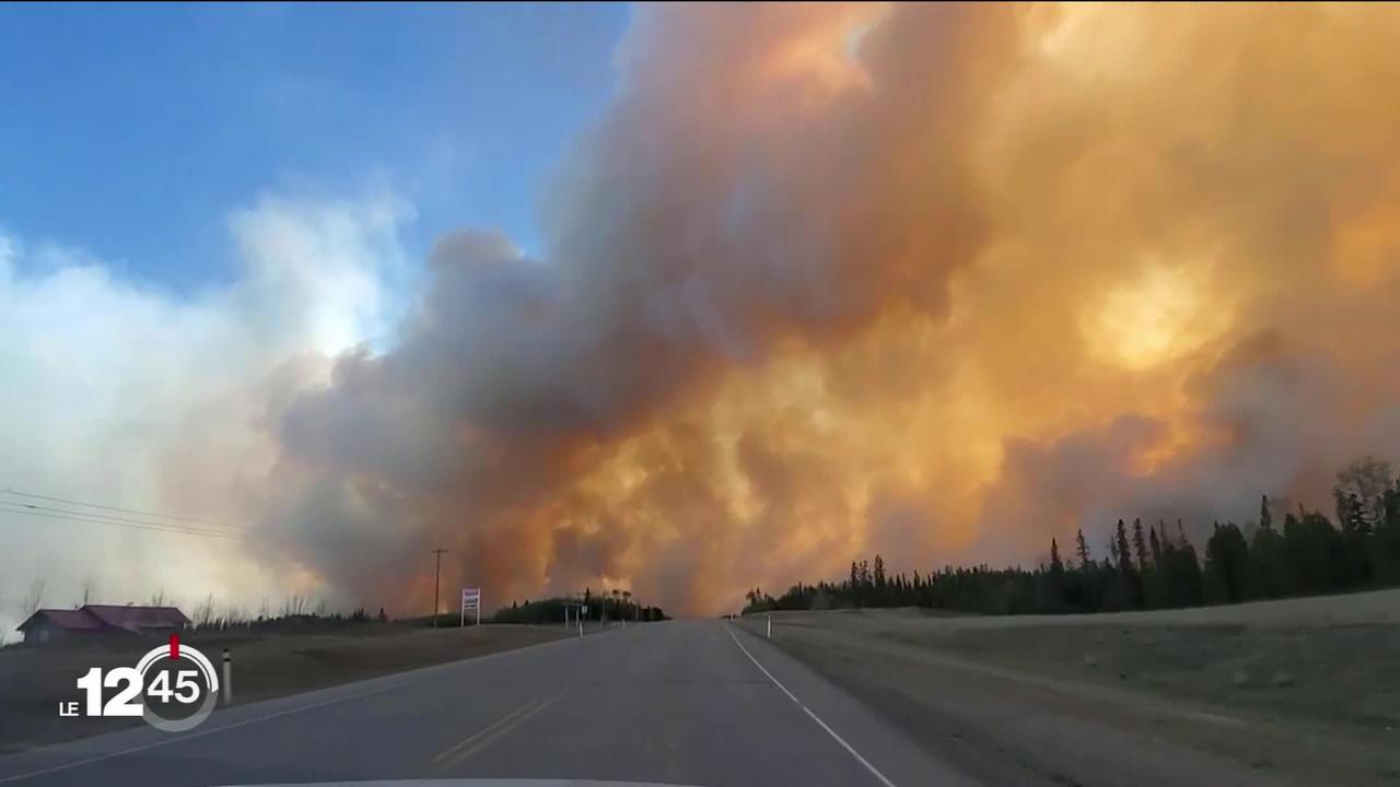 L'Est du Canada à son tour ravagé par des feux de forêt sans précédent. Les autorités appellent l’armée à l’aide
