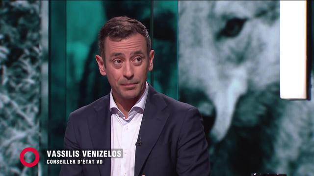 Régulation du loup: la Confédération va-t-elle trop loin?