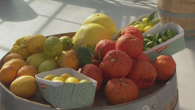 Les fruits exotiques made in Switzerland