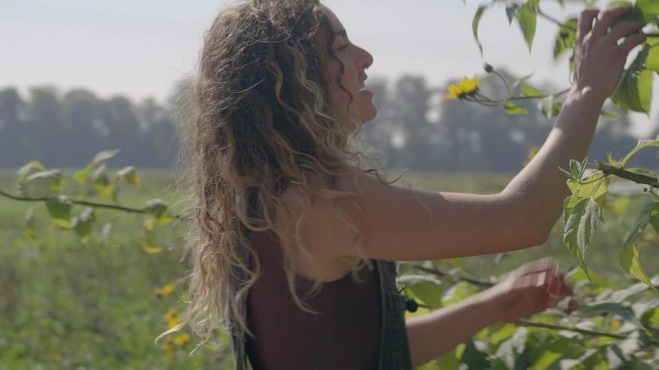 Stars à croquer : Comme un tournesol