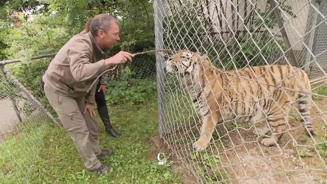 L’équipe des soigneurs du Zoo de Servion (VD) s’occupe au quotidien de plus de 70 espèces animales. [RTS]