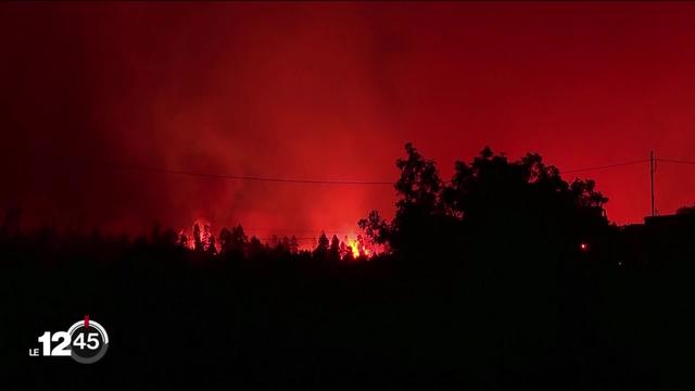 Plus de 12'000 personnes évacuées à Tenerife, le gigantesque incendie a déjà ravagé 4% de l'île