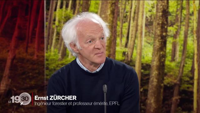 L'ingénieur forestier Ernst Zürcher évoque les bienfaits des arbres pour la santé