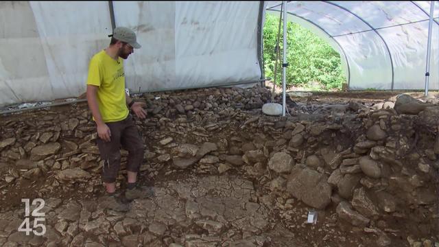 Les fouilles sur un imposant monument funéraire de l'âge de Bronze se poursuivent à Colombier (NE)