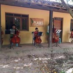 La Fondation latino-américaine pour le développement a mis sur pied des orchestres composés de jeunes de la Chiquitanía [fundacionflades.org]