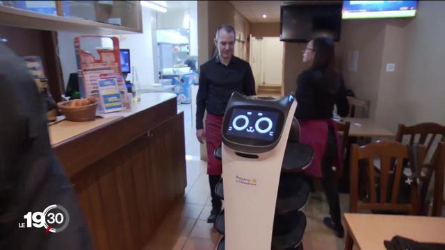 Bella, un robot pour aider au service dans la restauration.