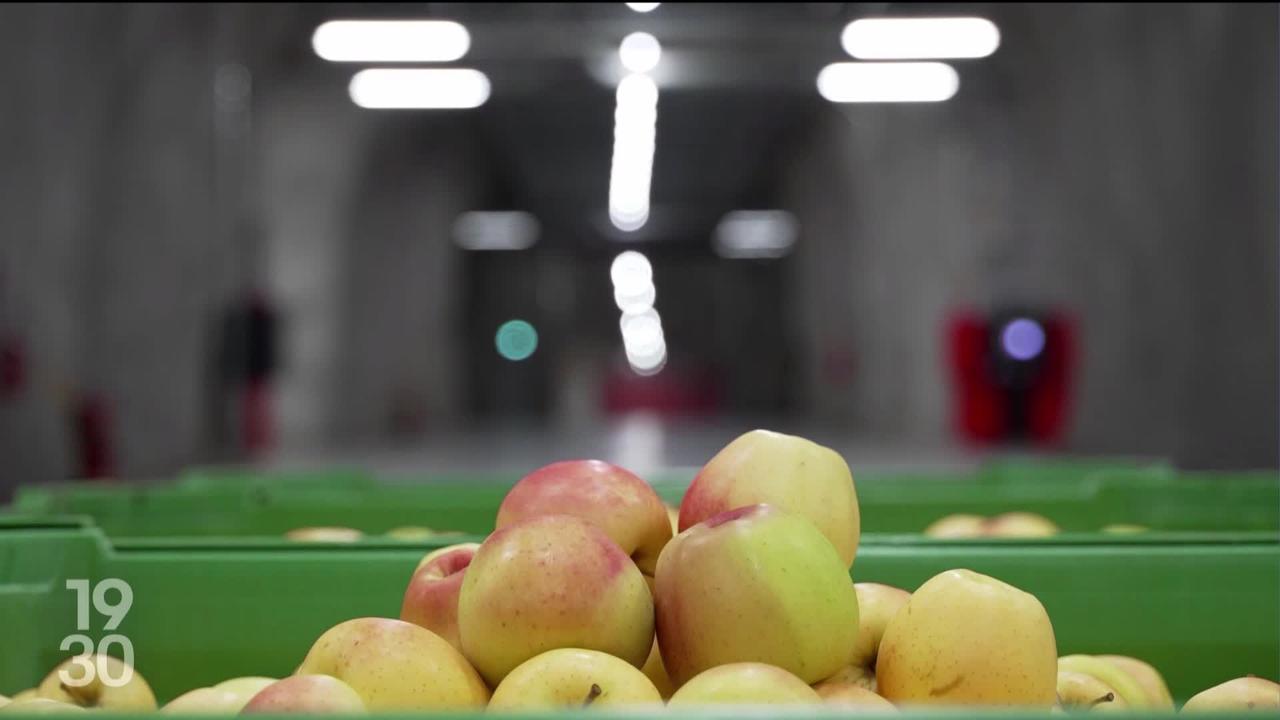 En Italie, les pommes sont conservées au cœur des montagnes. Reportage dans les Dolomites