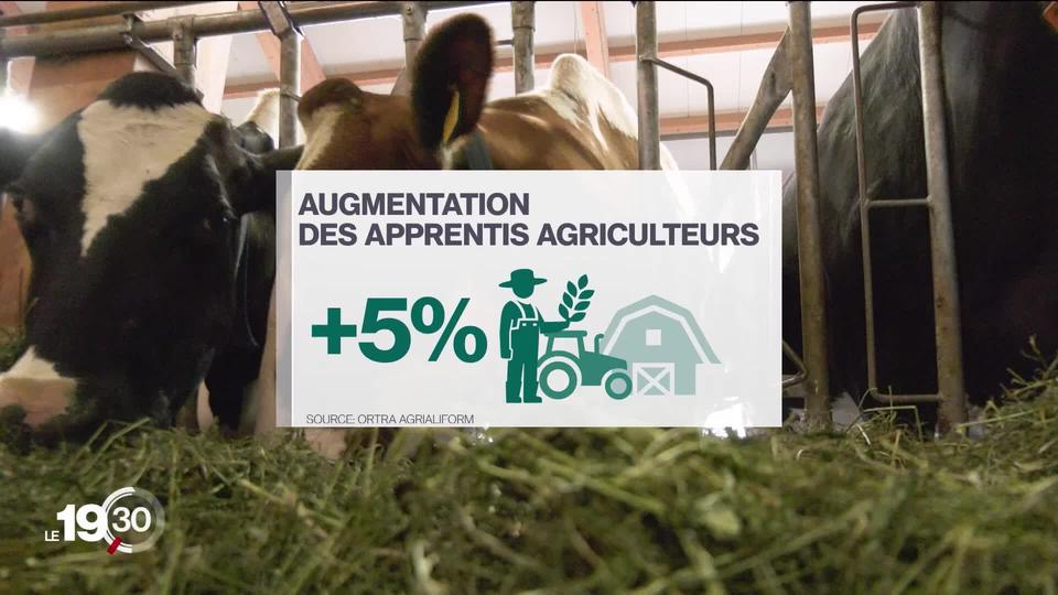 Regain d'intérêt chez les jeunes pour l'agriculture. En 2022, le nombre d'apprentissage est en hausse de 5%.