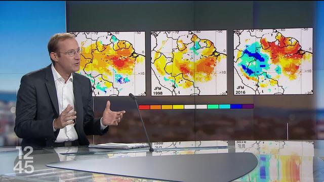 L'Amazonie est frappée par l'aggravation du dérèglement climatique et une sécheresse historique. Les explications de Pascal Jeannerat