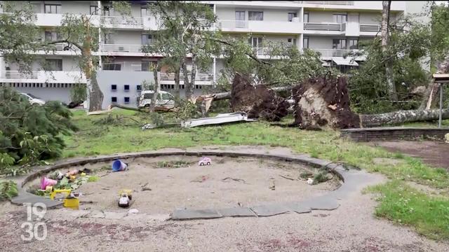 La Chaîne du Bonheur n’a pas organisé de collecte de fonds pour les dégâts subis par la ville de La Chaux-de-Fonds suite à la tempête du 24 juillet dernier