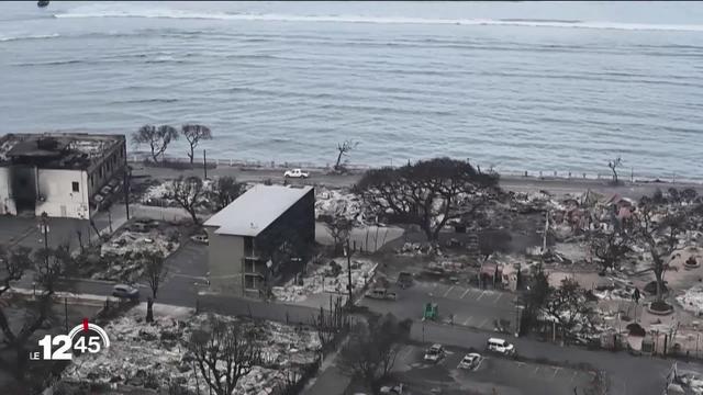 Le président américain Joe Biden a déclaré jeudi l'état de catastrophe naturelle à Hawaï, après que des feux de forêt ont fait au moins 53.
