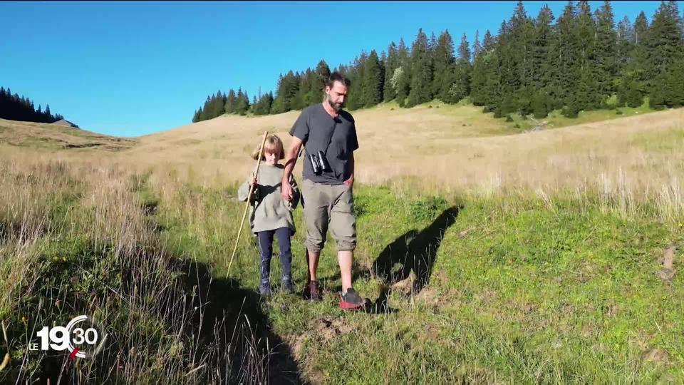 Série d'été: 24 heures avec le loup, épisode 1