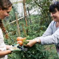 L'EPER offre un moyen concret de favoriser l’inclusion sociale des personnes migrantes à travers un jardin potager [eper.ch/nouveaux-jardins]