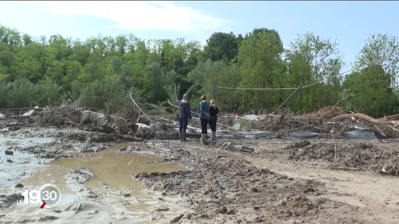 Suite aux inondations en Emilie-Romagne, des milliers d'entreprises agricoles ont tout perdu.