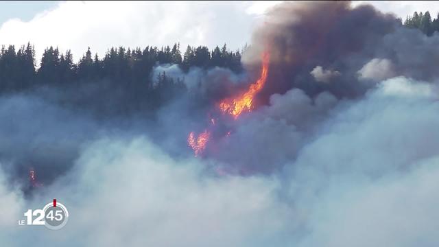 Le feu de forêt qui s’est déclaré hier en fin de journée à Bitsch (VS) n’est pas encore maîtrisé mais la situation est stable