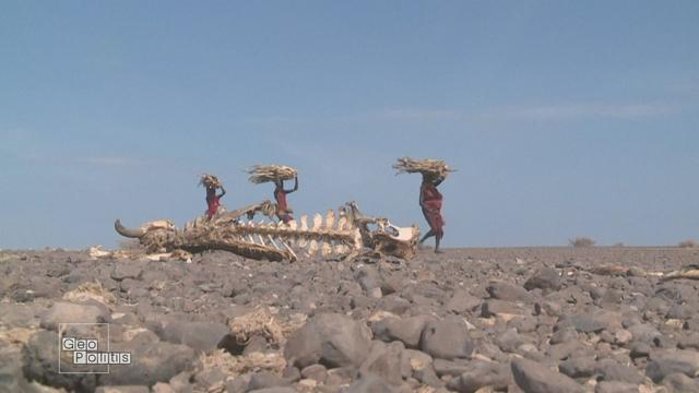 En 2023, la température moyenne mondiale atteint un record