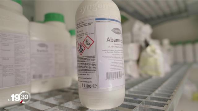 Des fabricants de pesticides accusés d'avoir soustrait des résultats sur la toxicité de leurs produits.