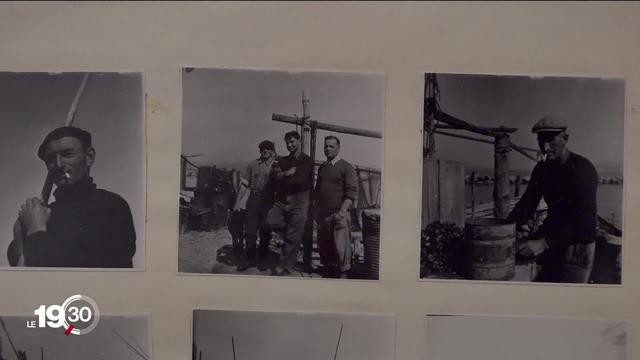 Les rencontres photographiques d'Arles consacrent une exposition à Agnès Varda et aux photos qui ont inspiré son premier film.