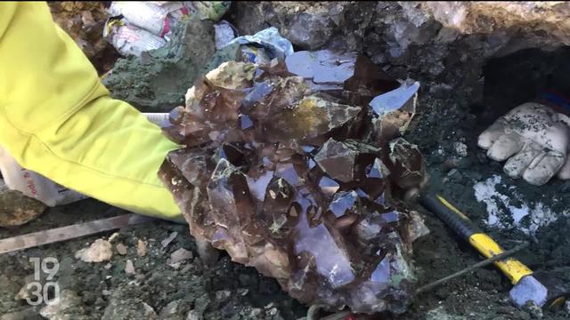 Un quartz fumé et une fluorite verte, deux cristaux précieux découverts dans les montagnes valaisannes, sont exposés au Musée de la nature à Sion