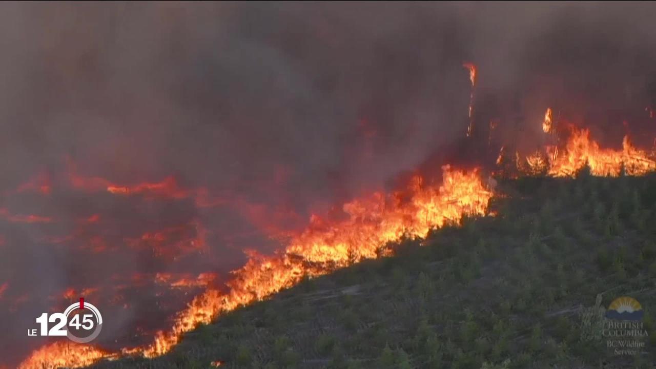 Vague de chaleur extrême en Amérique du Nord: Plus de 10 millions d’hectares de forêt sont partis en fumée dans les incendies au Canada