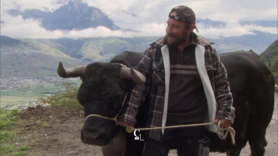 Entretien avec Valéry Favre, éleveur de vaches de la race d’Hérens à Nendaz (VS). La finale nationale des combats de reines a lieu ce week-end