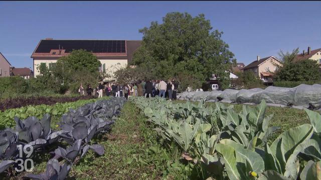 La ferme vaudoise des Savanes a accueilli une cinquantaine de diplomates étrangers intéressés par le bio et la permaculture